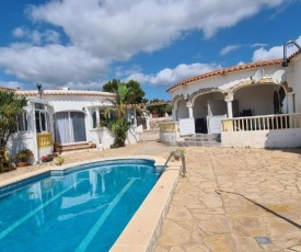 Palmera IV