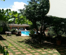Mas Pericay