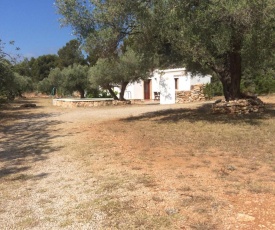 Casa Pineda